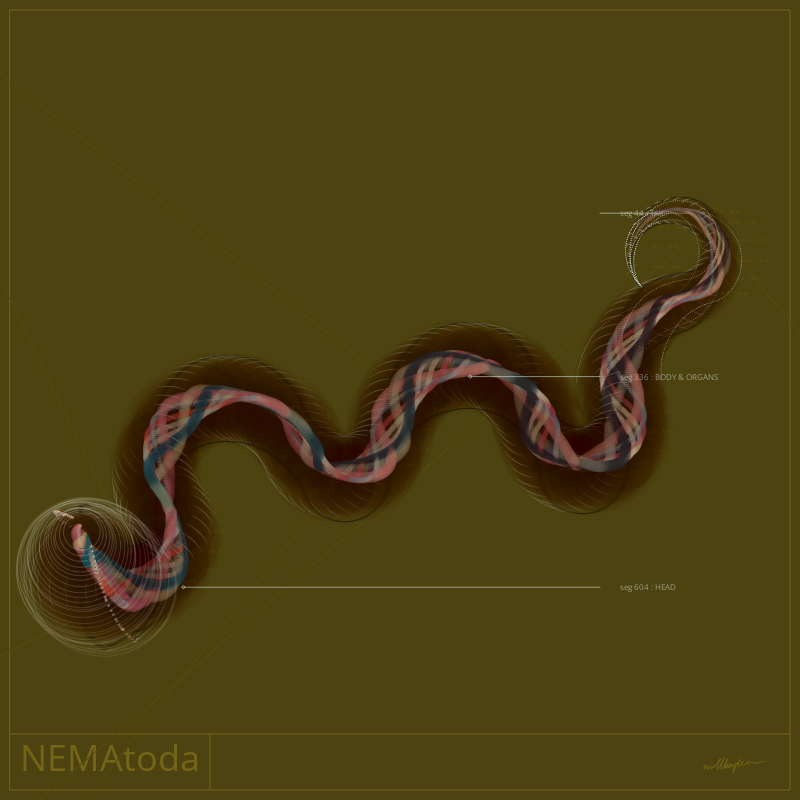 NEMA #6 static token preview