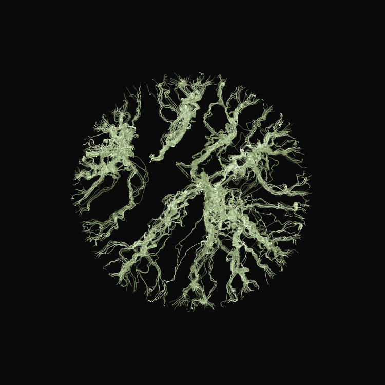 Ginseng #22 static token preview