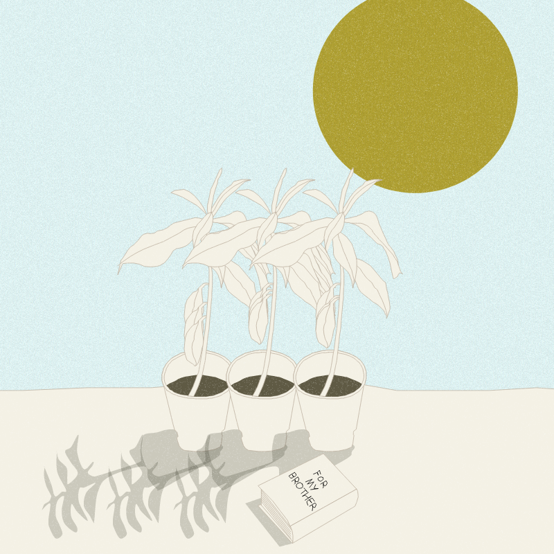 Still Life #12 #8 static token preview