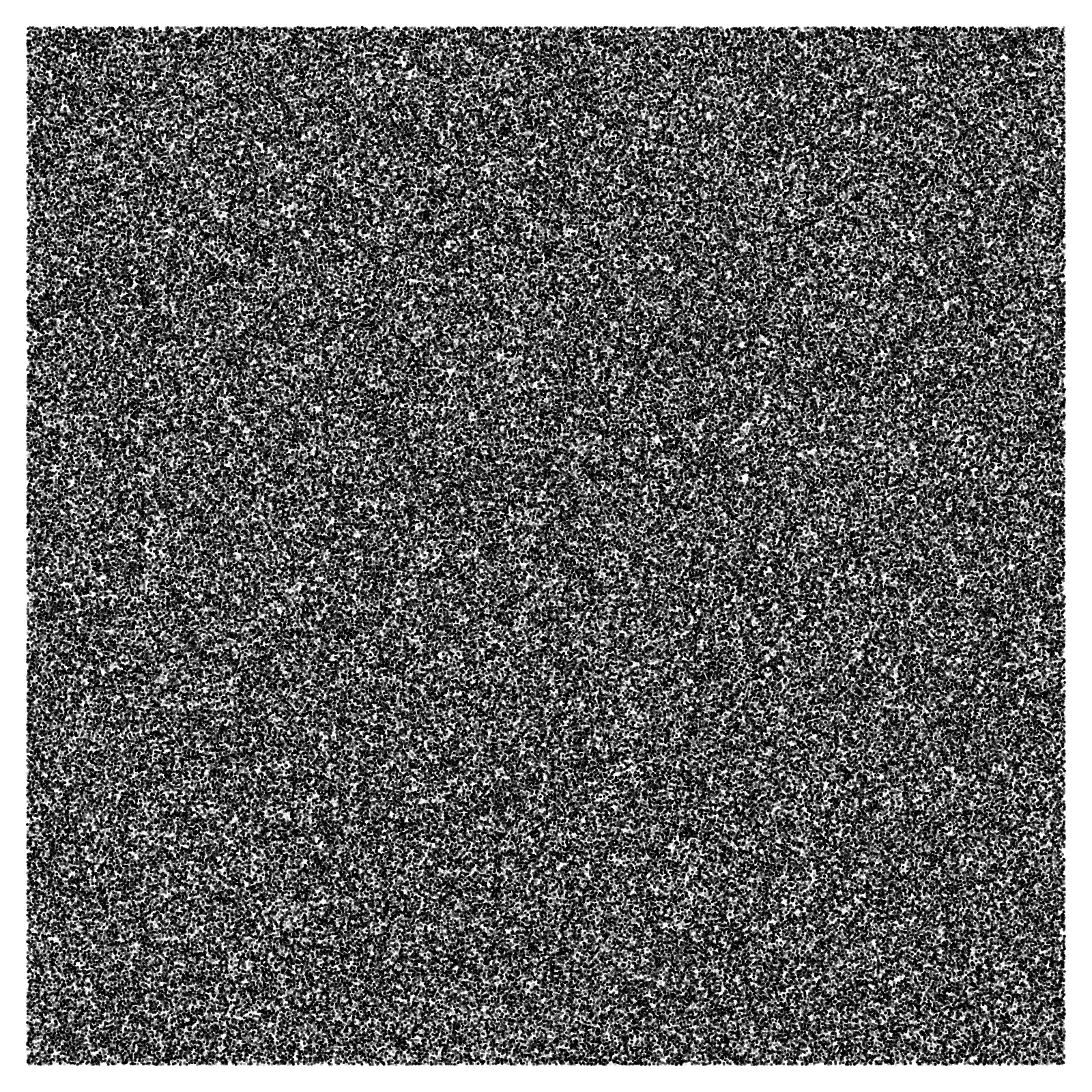 Noise #6 static token preview