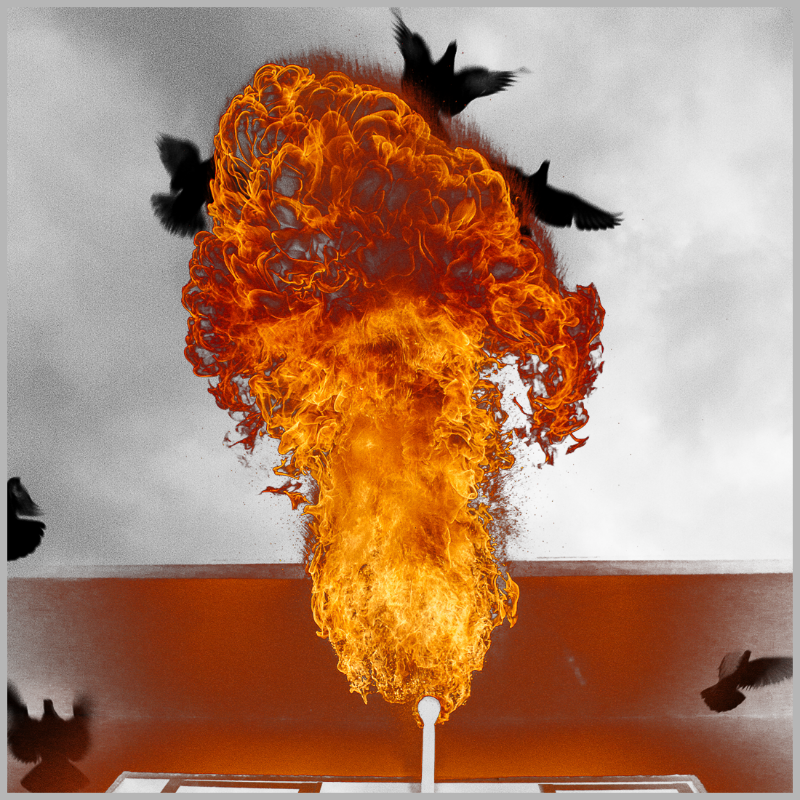 Free to burn #3 static token preview