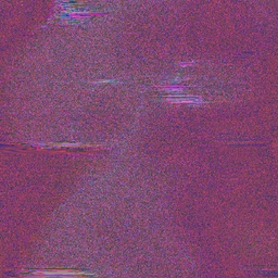 birds project preview