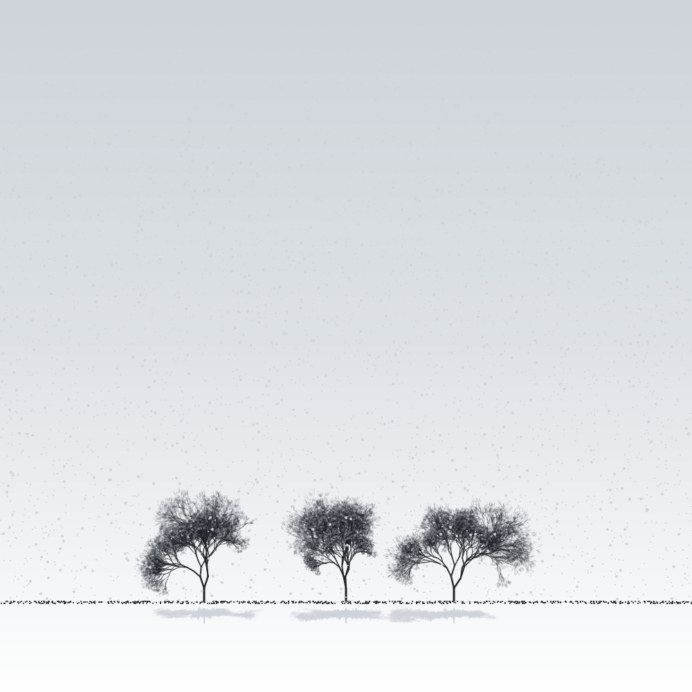 Sakuras in the snow #19 static token preview