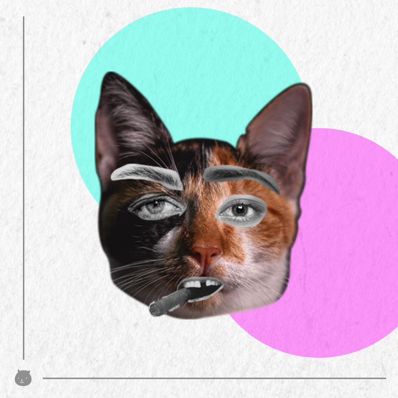 Kittenstein #2 static token preview