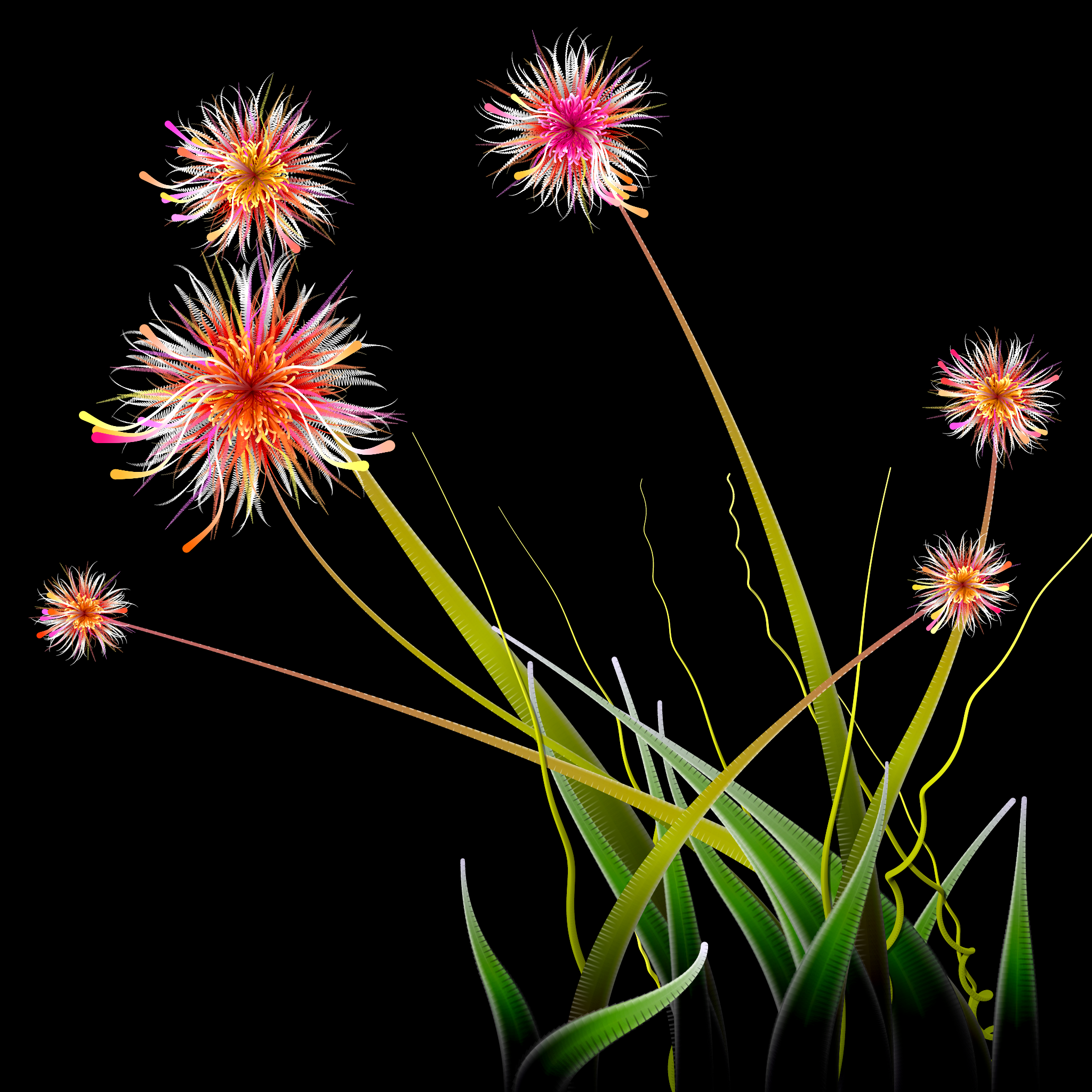 Milena’s Flowers #13 static token preview