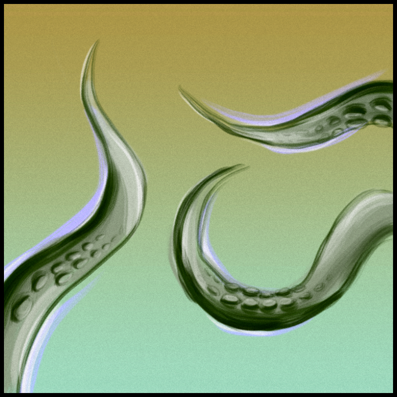 tentacles #4 static token preview