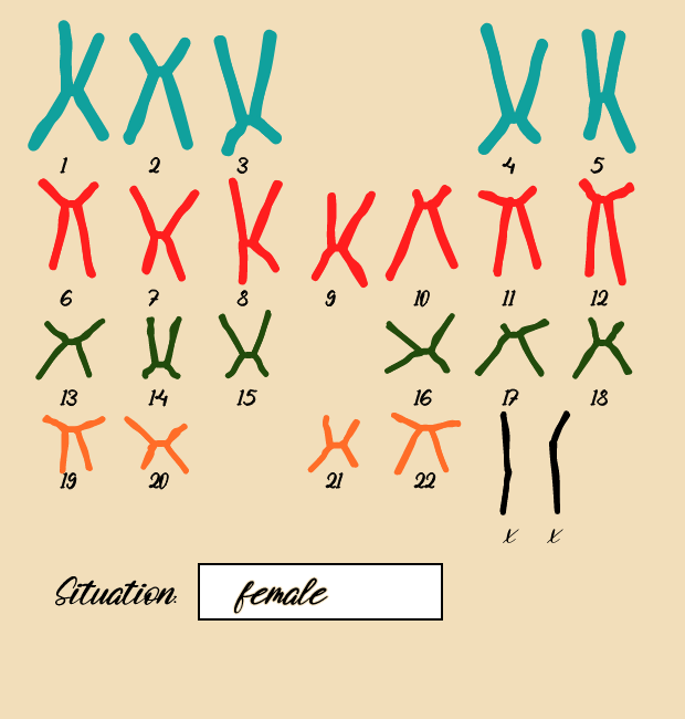 "Karyotype" #14 static token preview