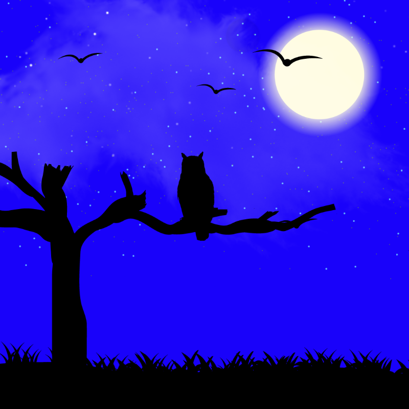 We Care...Owl #13 static token preview