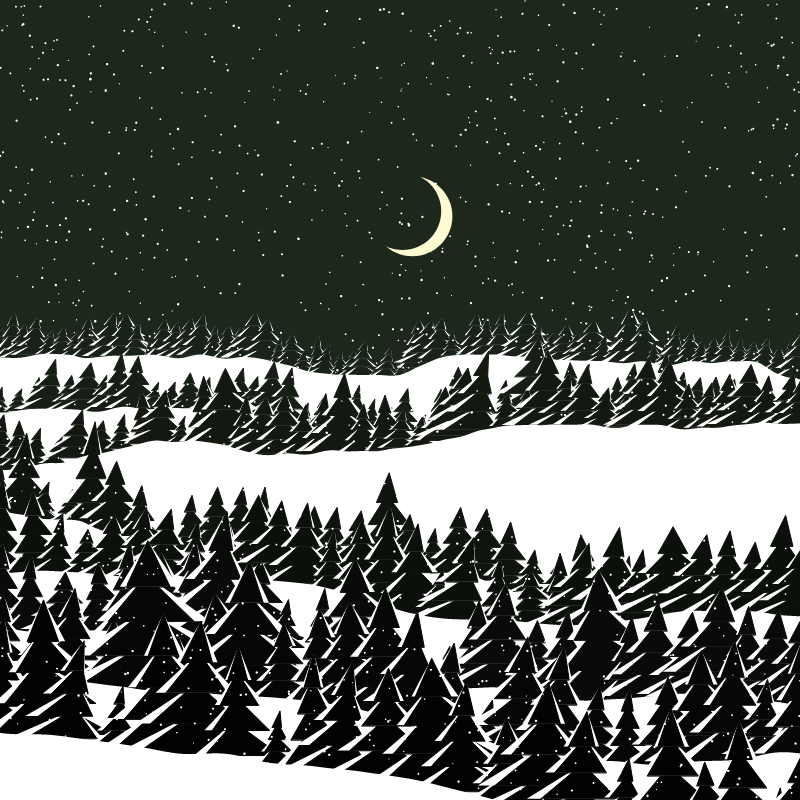 Winterland #123 static token preview
