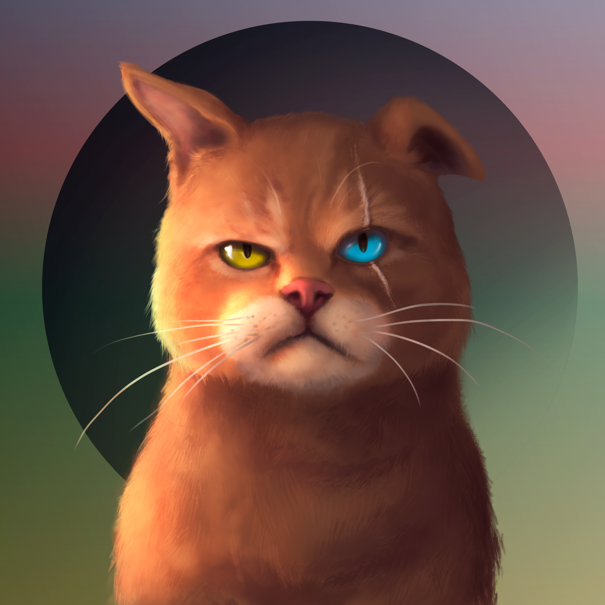 Gangsta Cat #11 static token preview