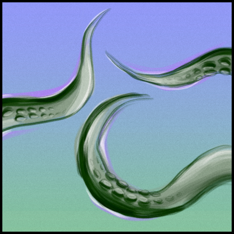 tentacles #5 static token preview