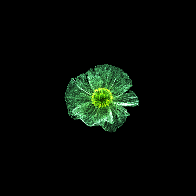 White Poppy 30 #173 static token preview