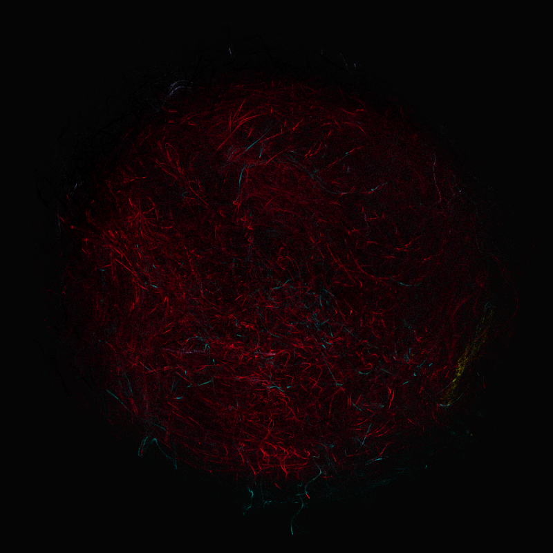 balls in vector fields #14 static token preview