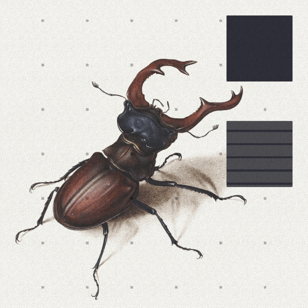 Beetle #4 static token preview