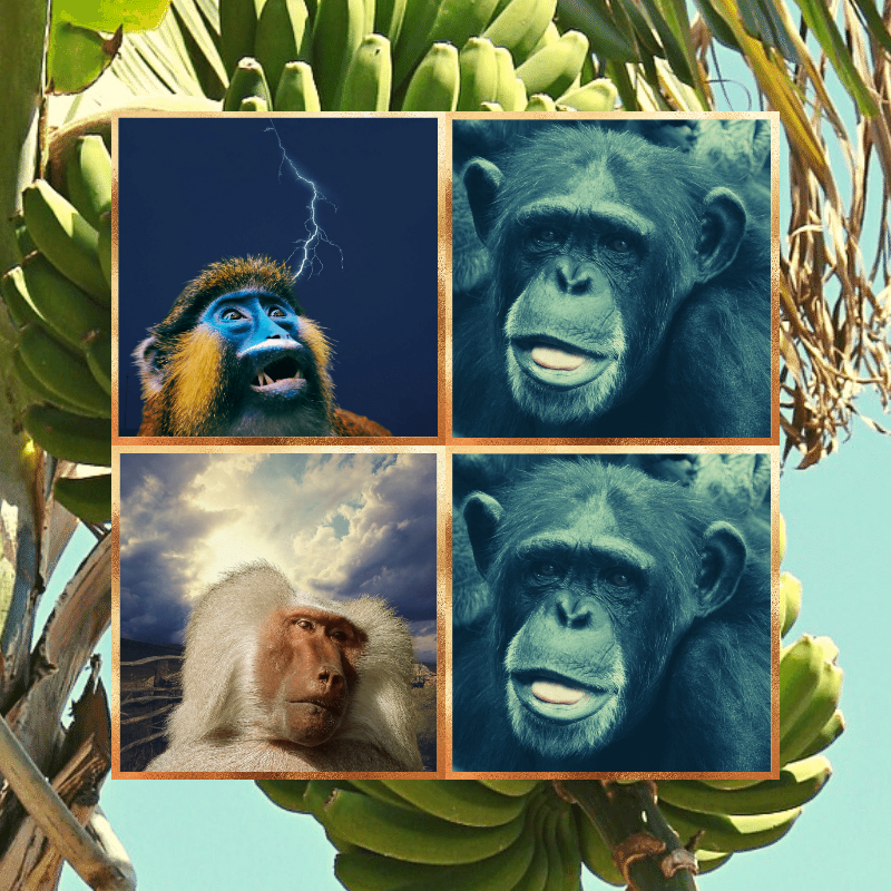 Banana legends #1 static token preview