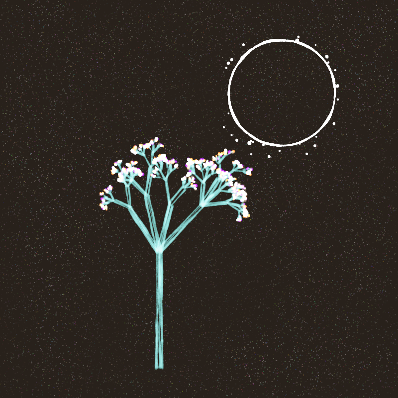 Hand-Drawn Tree #3 static token preview