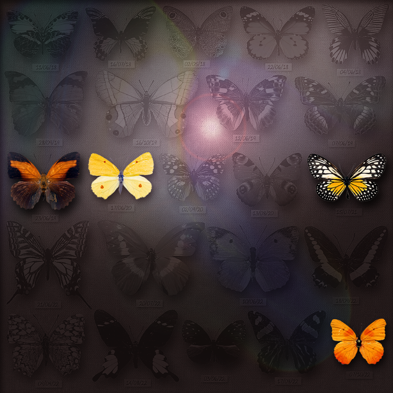 Save Butterfly World #15 static token preview