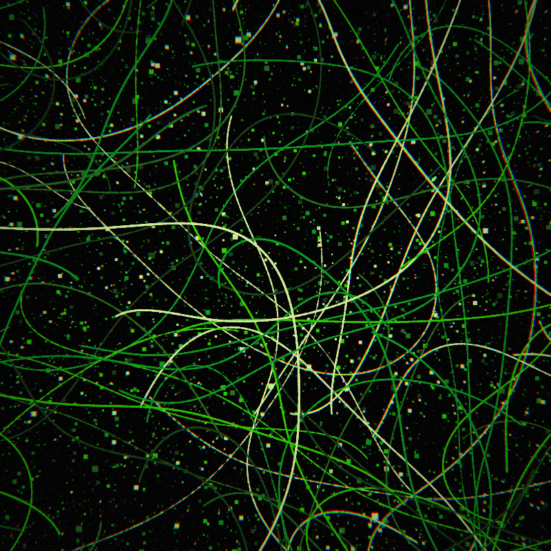 Neon Curves #15 static token preview