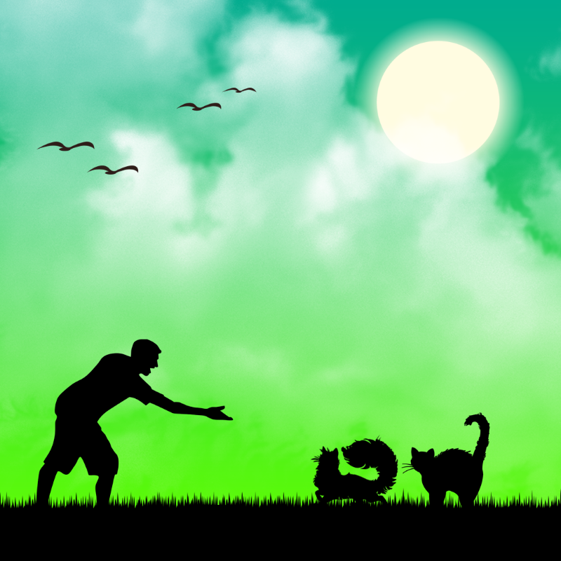 We Care...Cat #10 static token preview