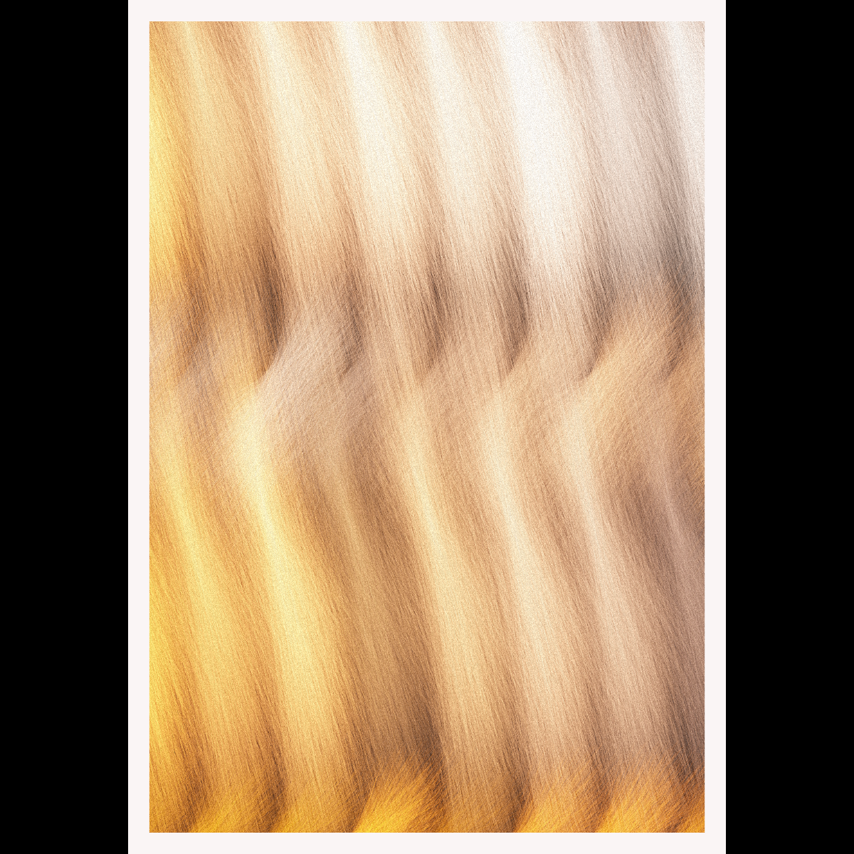 Furrr #23 static token preview