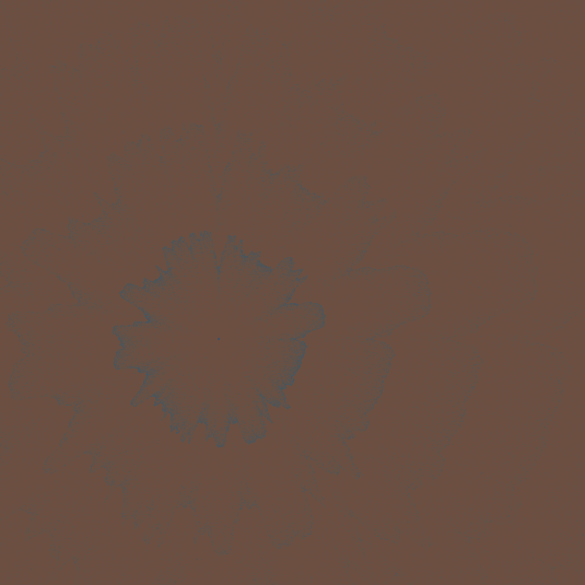 round waves #3 static token preview
