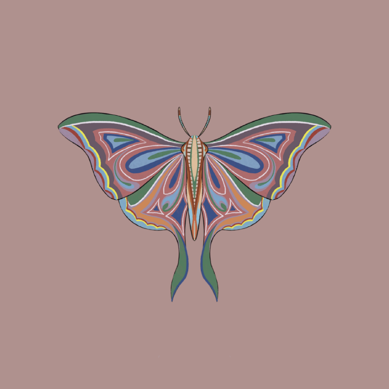 The Moth Experiment 2.0 P2 #4 static token preview