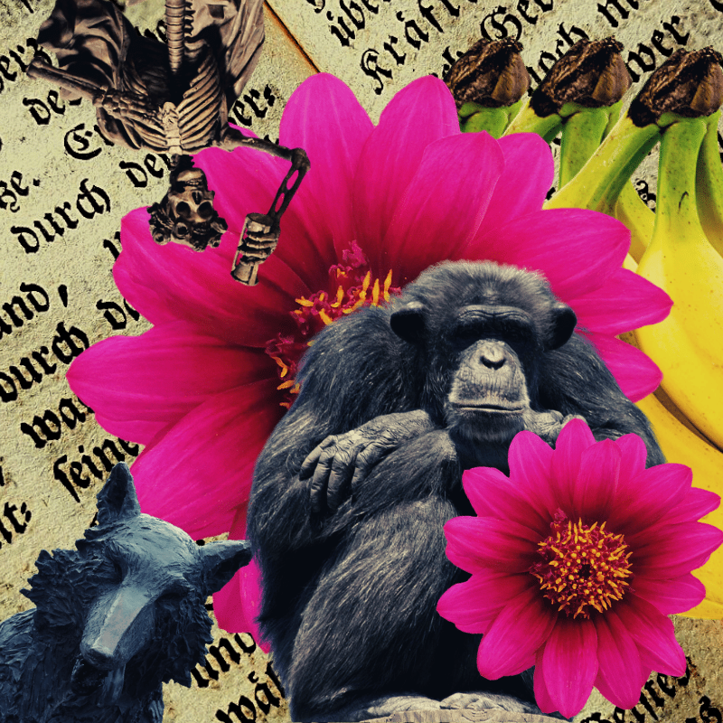 Banana flower #17 static token preview