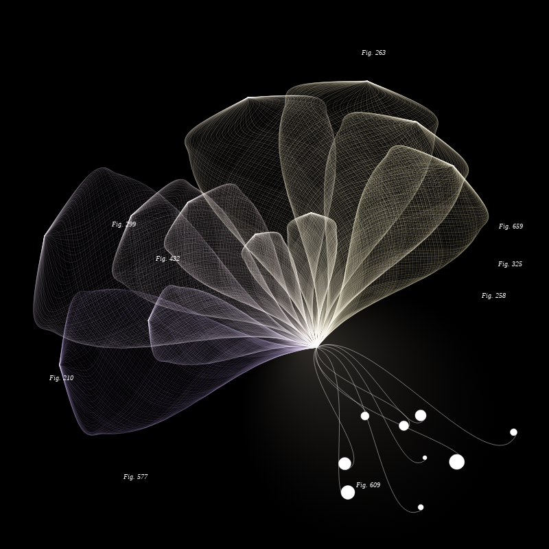 Herbarium #181 static token preview