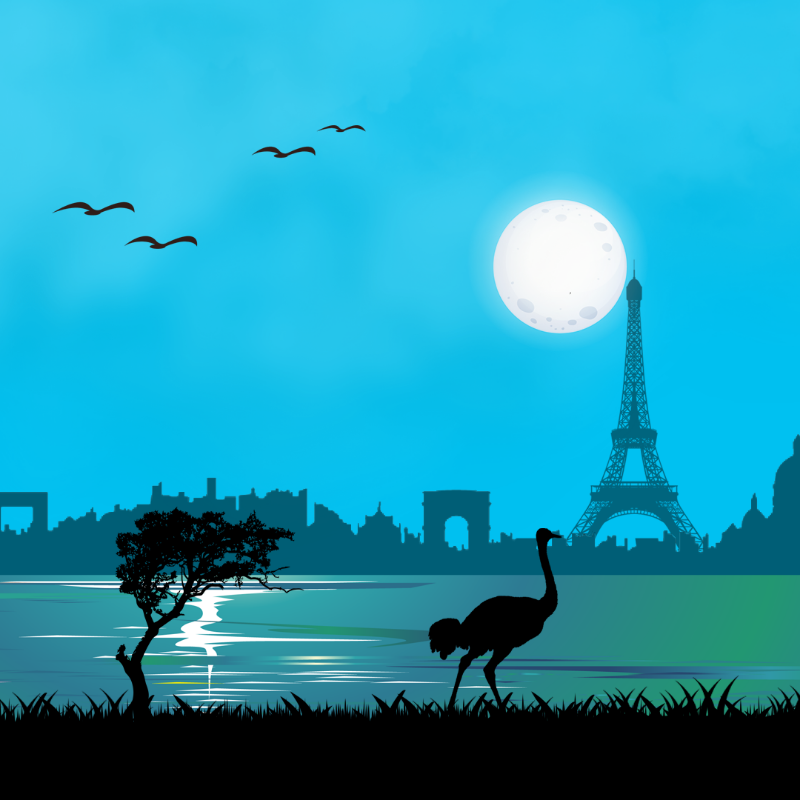 We Care...Ostrich #1 static token preview