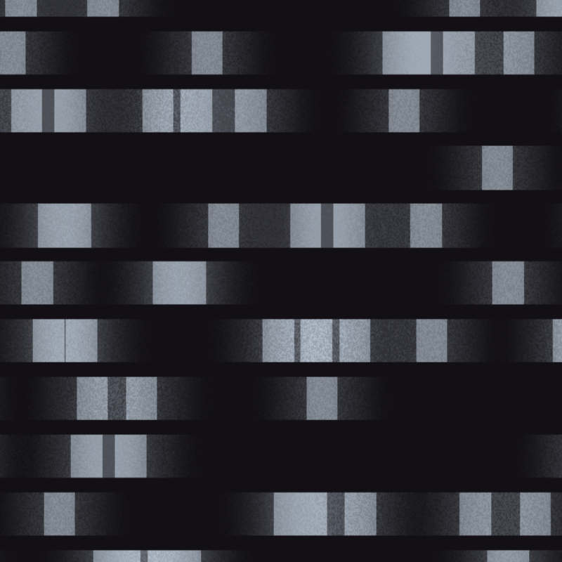 Genome hash Analysis #2 static token preview