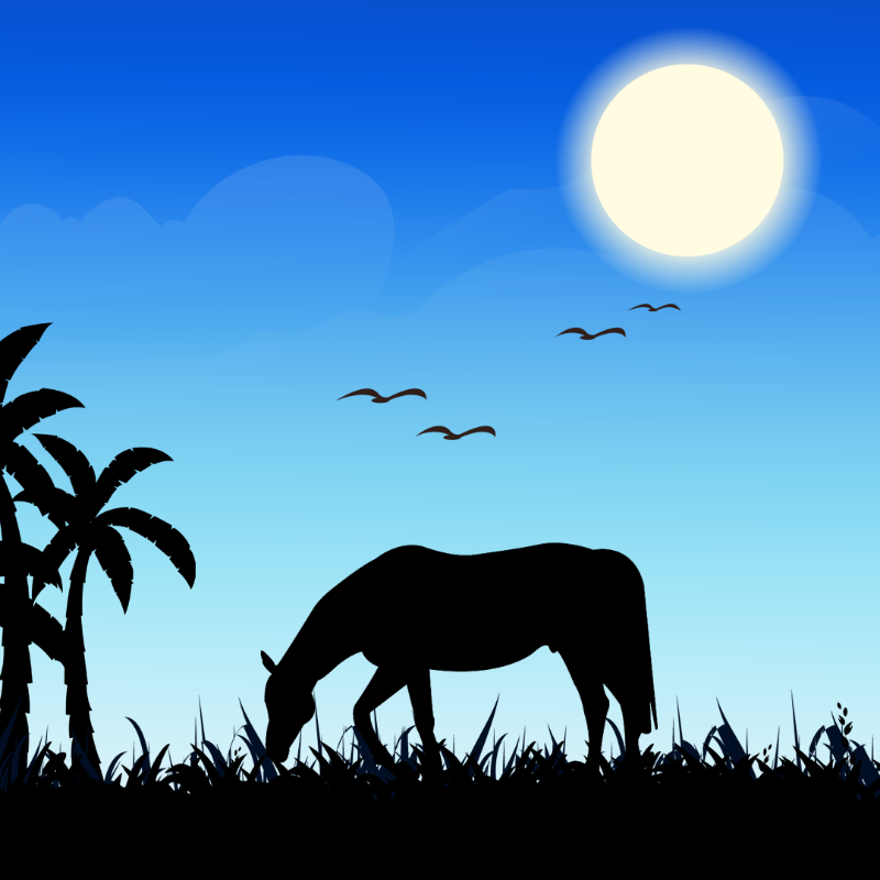 We Care...Horse #3 static token preview