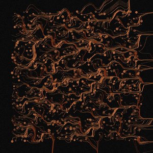 Sanuary project preview