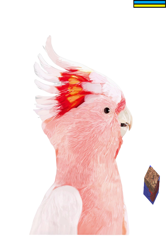 Animaleando #4 static token preview