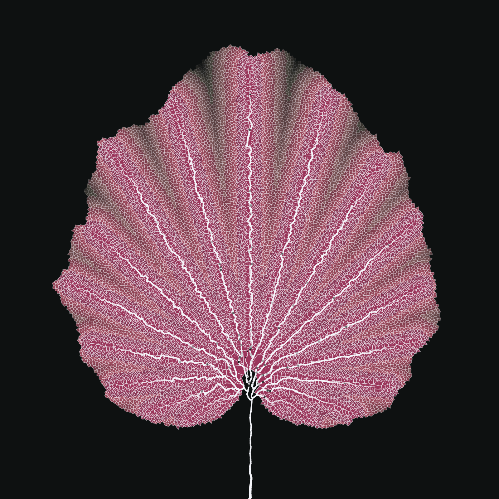 Leaf study #1 static token preview