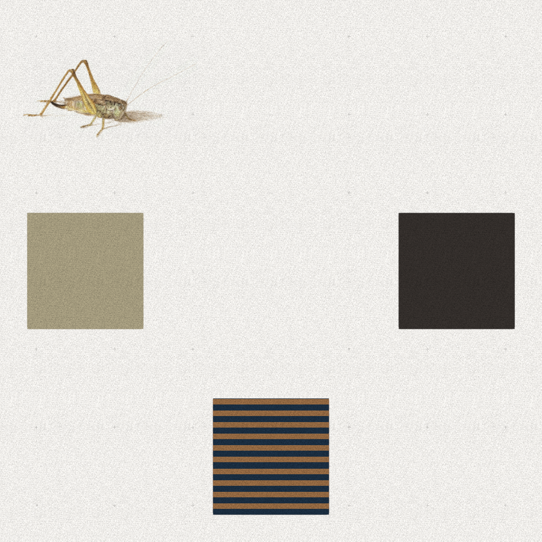 Grasshopper #7 static token preview