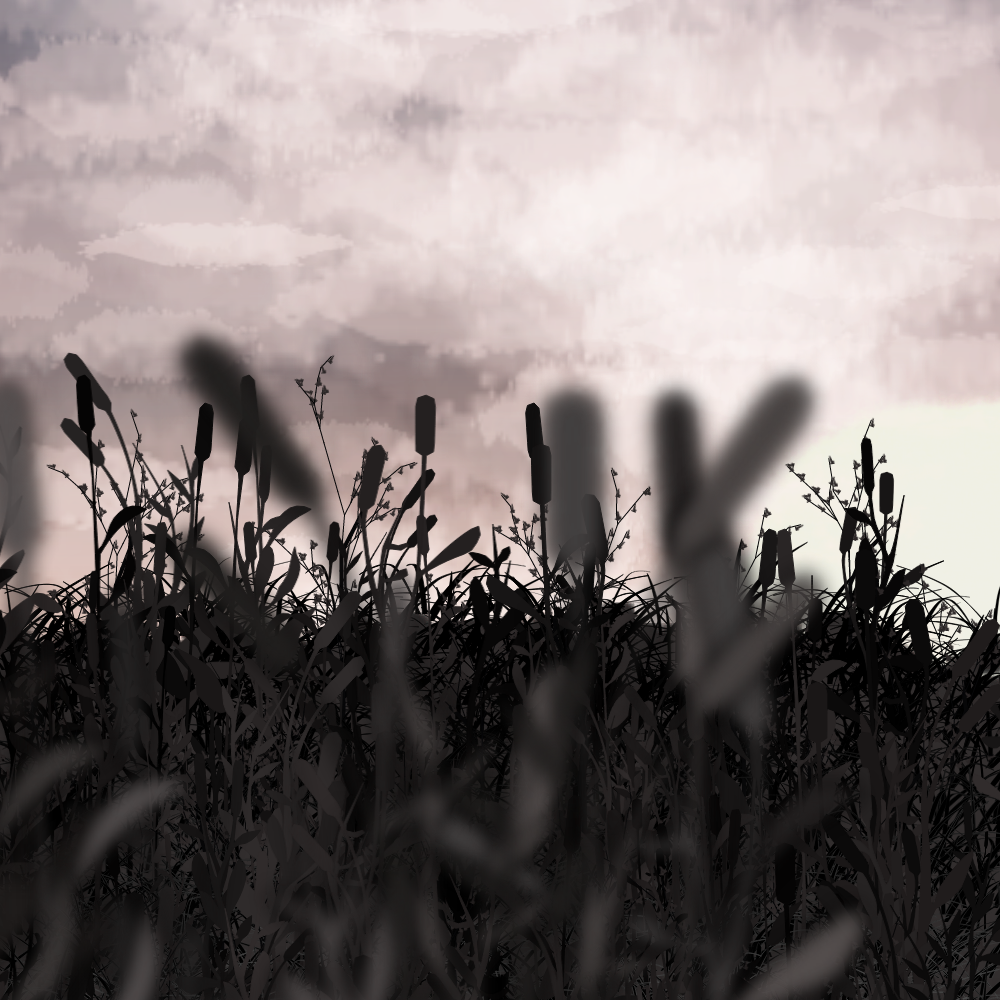 Walk in the field #14 static token preview