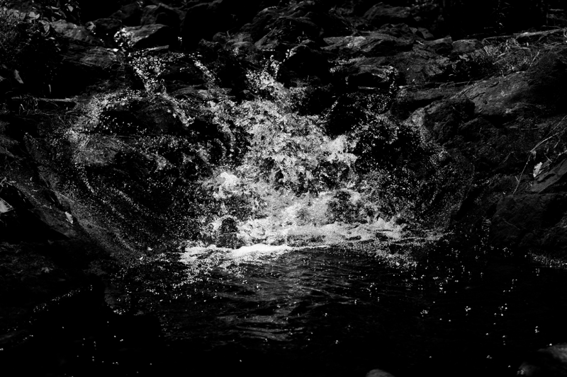 chasing waterfalls #13 static token preview