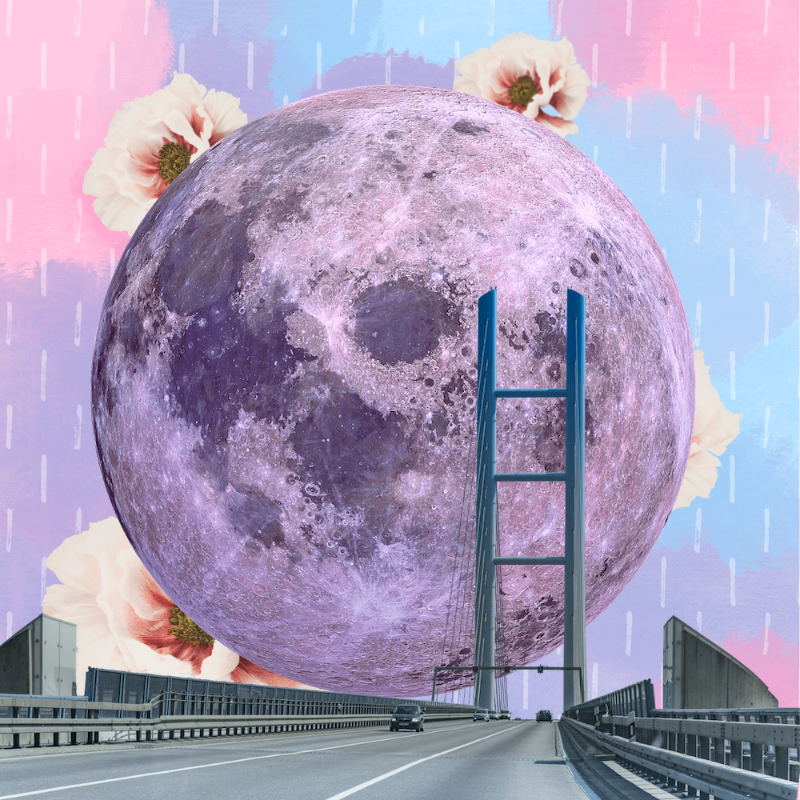 Pink Moon #14 static token preview