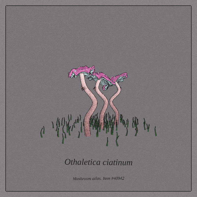 Mushroom Atlas #14 static token preview