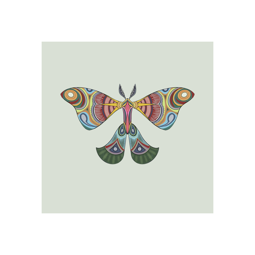 The Moth Experiment #24 static token preview
