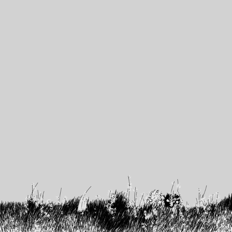 Dubious Floofs #6 static token preview