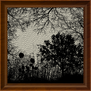 Tree of Shadows project preview