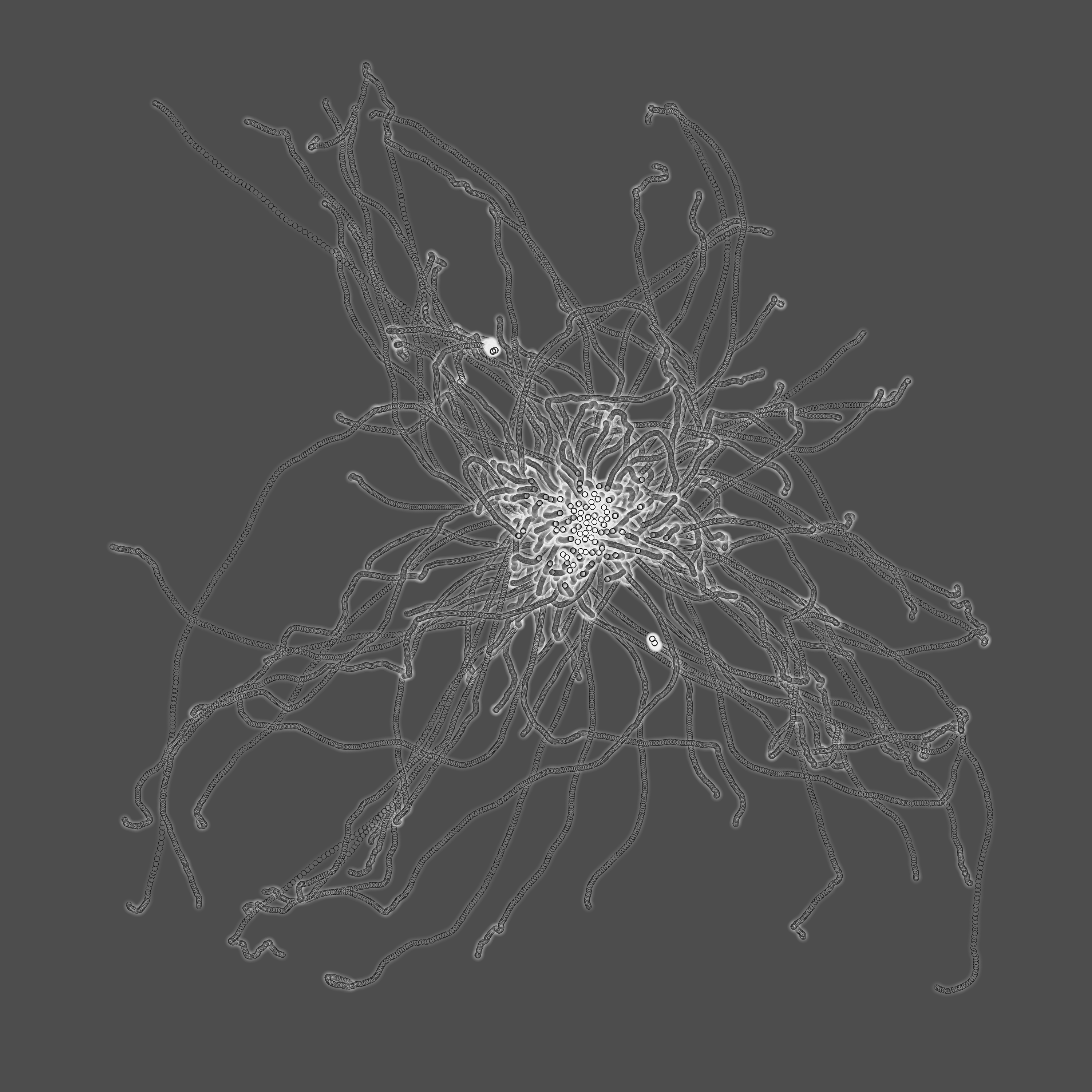 grey fungi wisdom #23 static token preview
