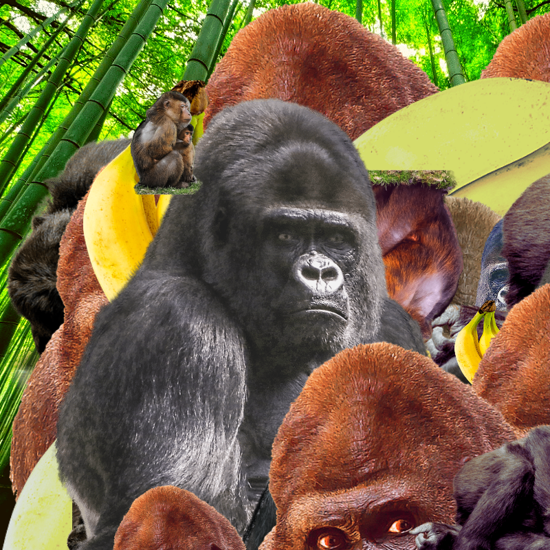 Banana #1 #16 static token preview