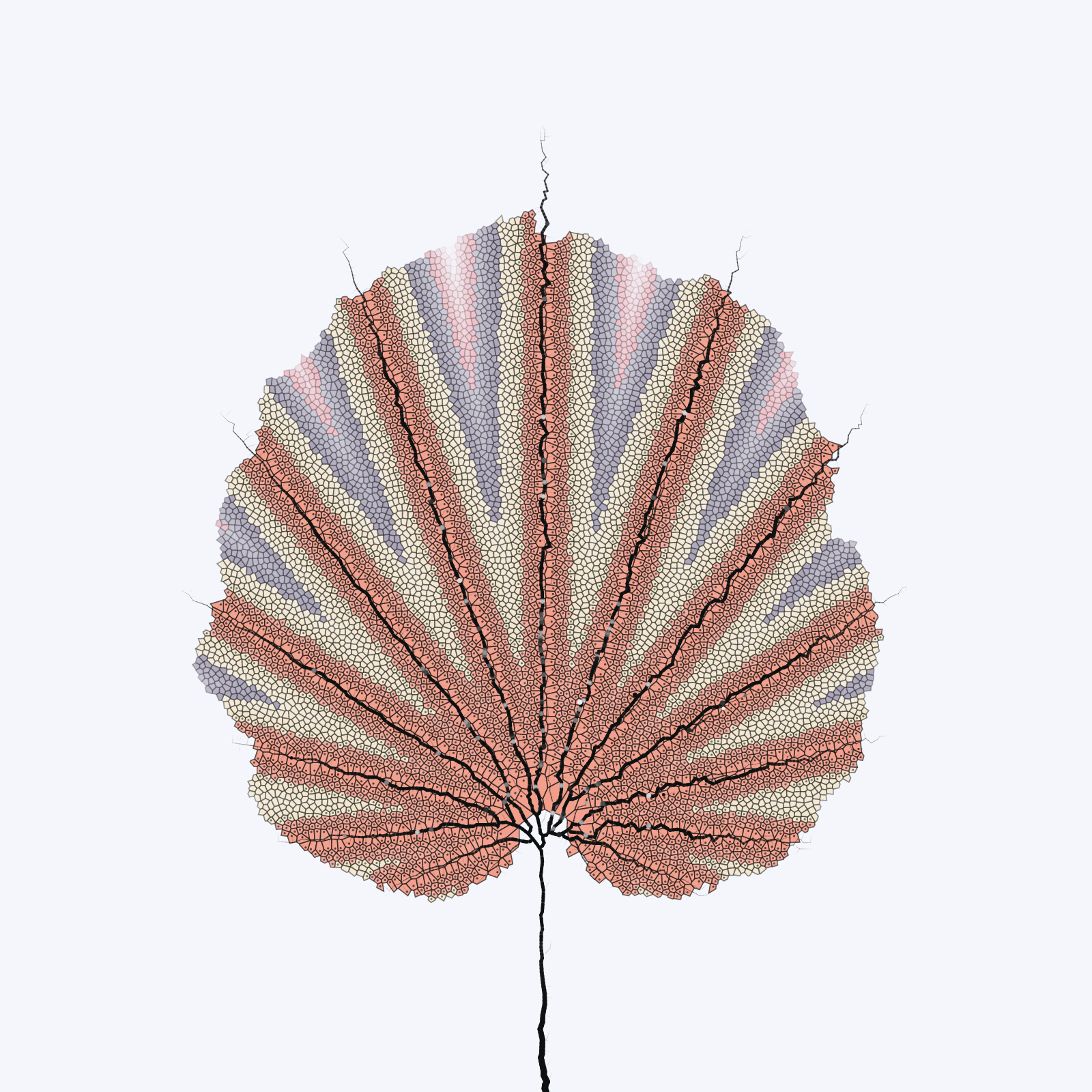 Leaf study #21 static token preview