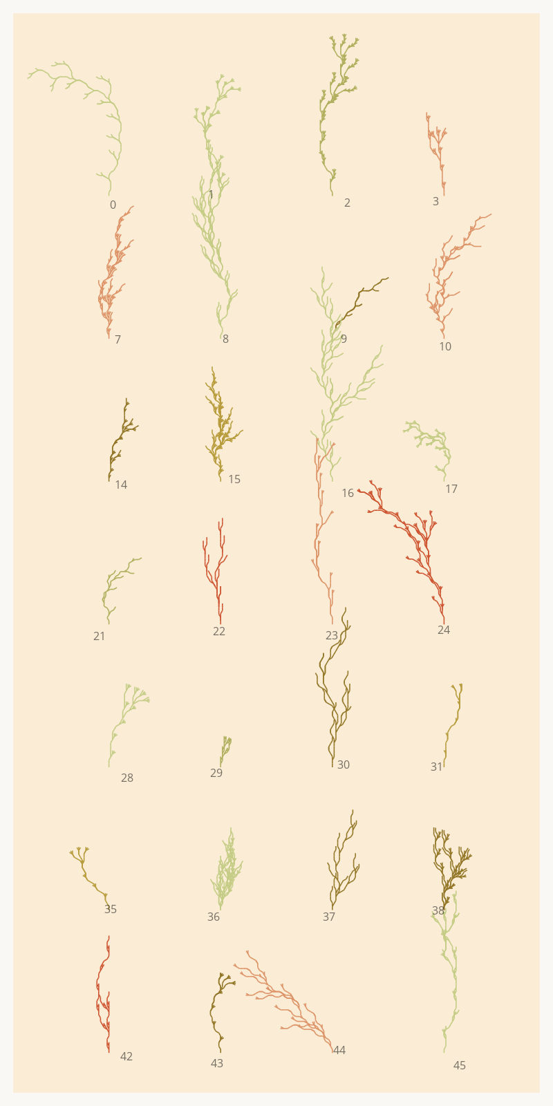 Seaweed Study #2 static token preview