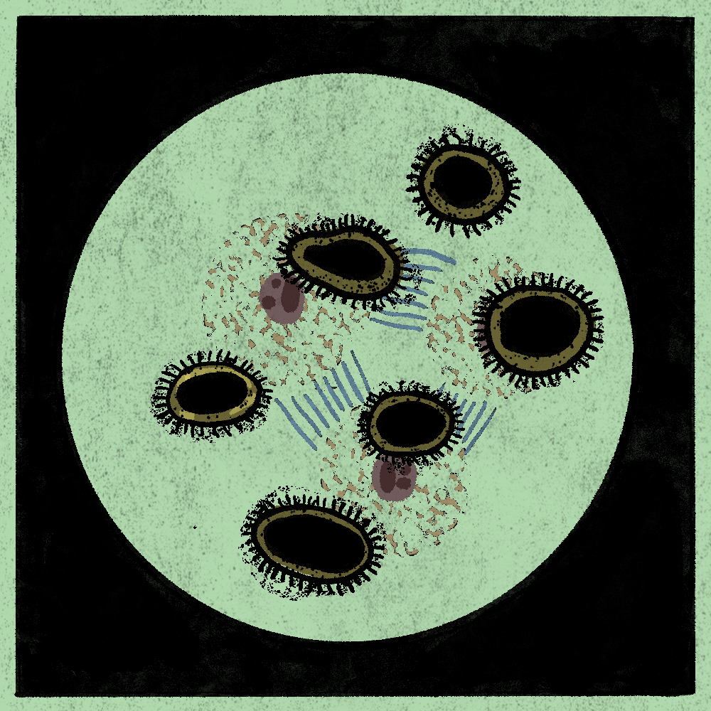 Microbes #9 static token preview