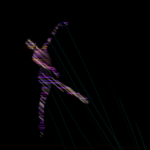 Ballet project preview