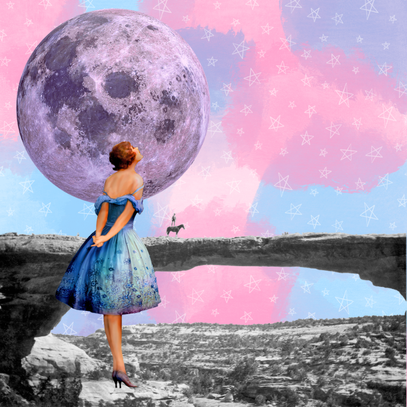 Pink Moon #13 static token preview