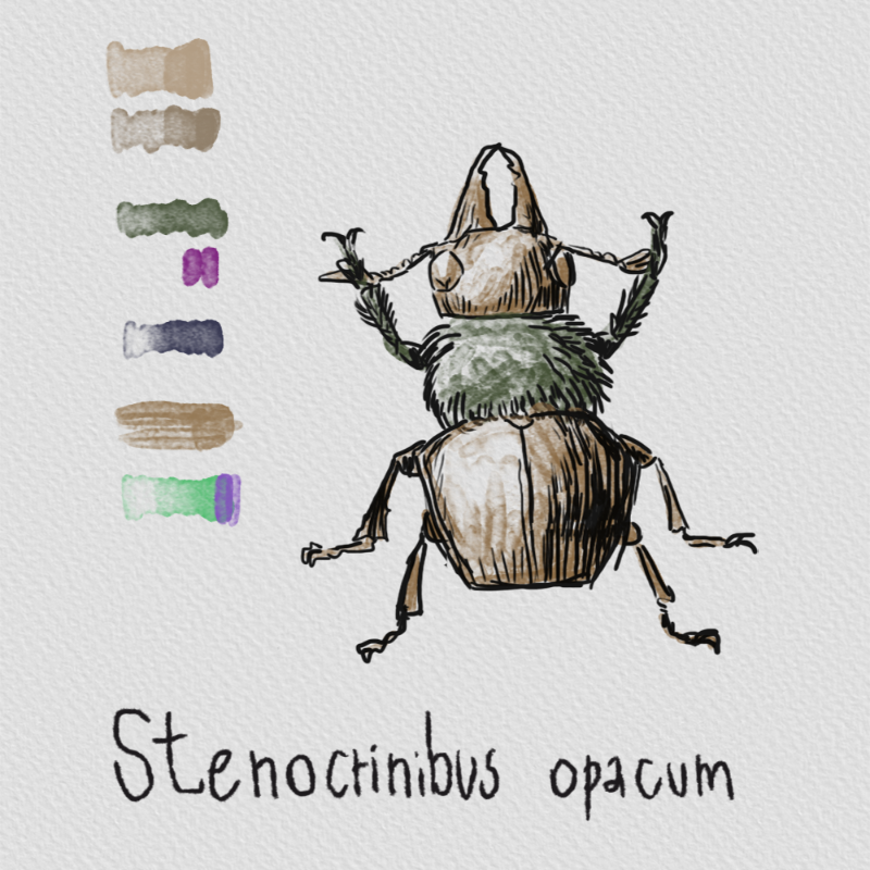Randomic Fauna1 #12 static token preview